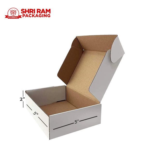 Shri Ram Packaging 3 Ply White Flap Box 5x5x2 Inch | Shipping & Packaging Box